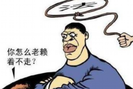 迪庆迪庆讨债公司服务